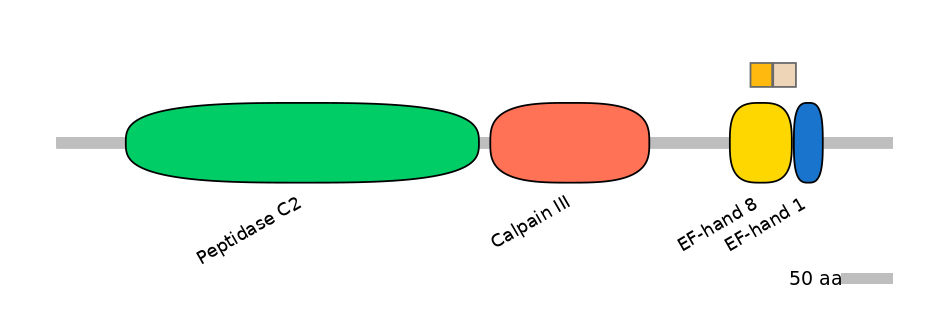 GgaINT0054929-EXC