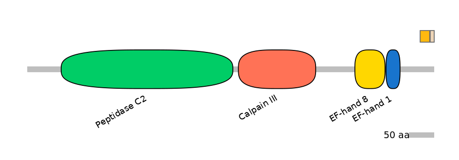 GgaINT0054933-EXC