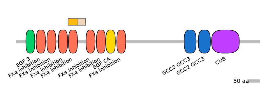GgaINT0057956-EXC