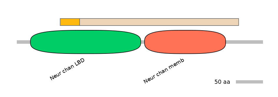 GgaINT0061040-EXC
