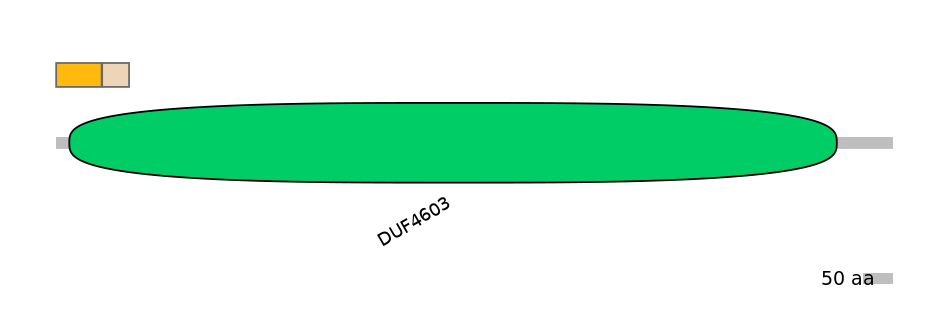 GgaINT0068420-EXC