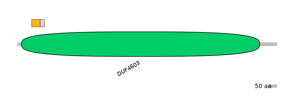 GgaINT0068421-EXC