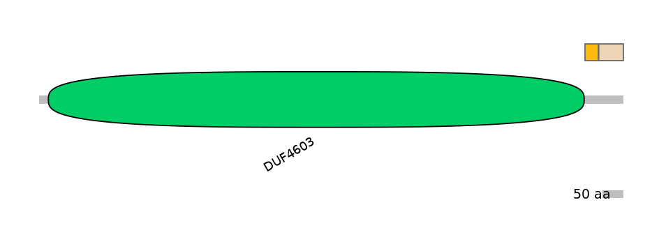 GgaINT0068426-EXC