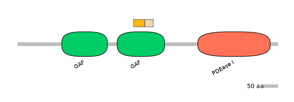 GgaINT0073924-EXC