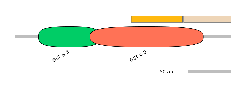 GgaINT0081154-EXC