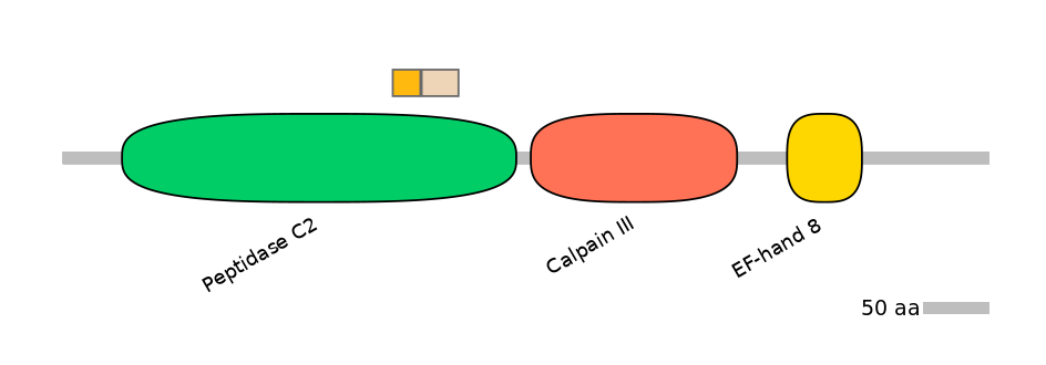 GgaINT0083305-EXC