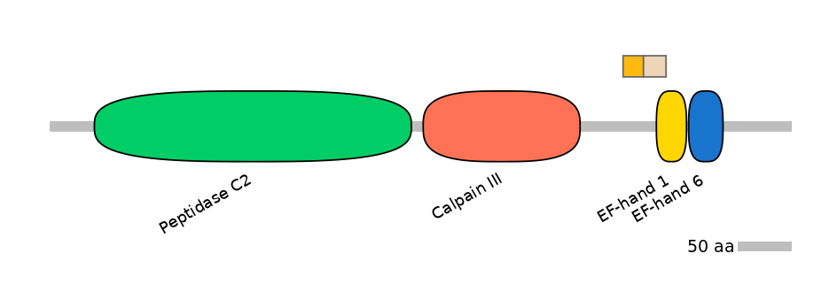 GgaINT0087015-EXC