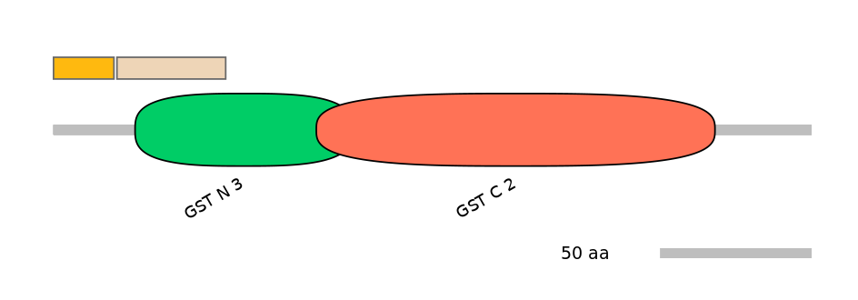 GgaINT0088106-EXC