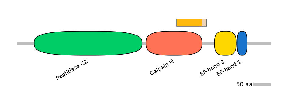 GgaINT0088805-EXC