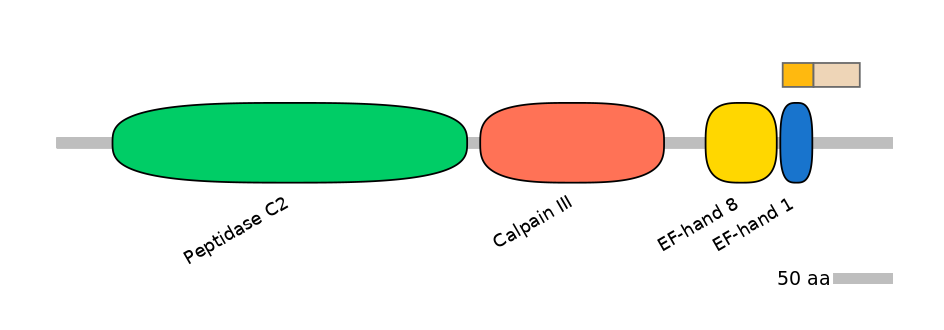 GgaINT0088811-EXC