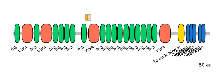 GgaINT0090084-EXC