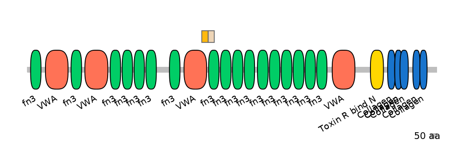 GgaINT0090088-EXC