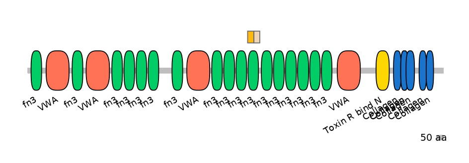 GgaINT0090095-EXC