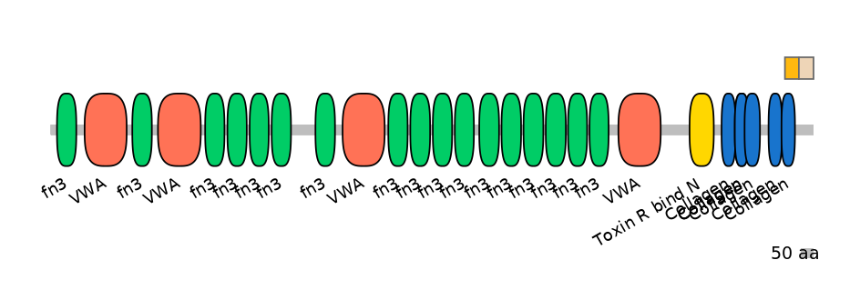 GgaINT0090134-EXC