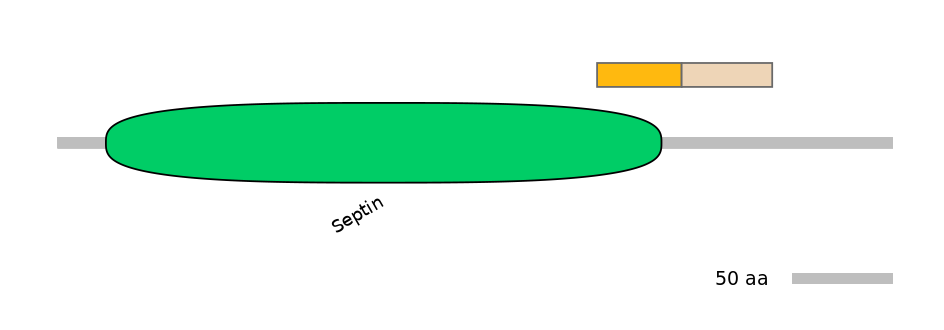GgaINT0090707-EXC