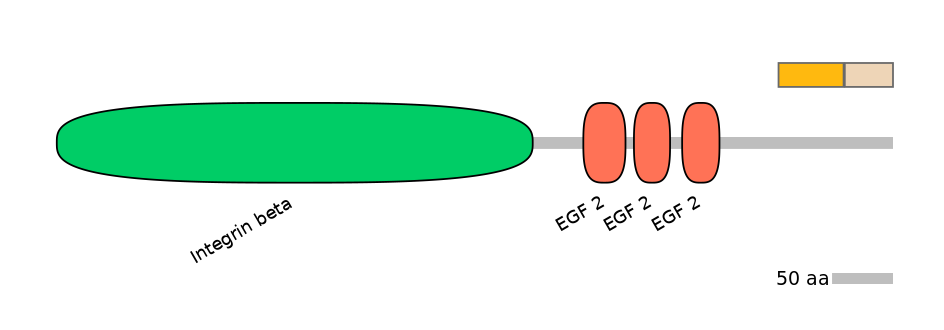 GgaINT0090900-EXC