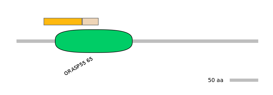 GgaINT0091017-EXC