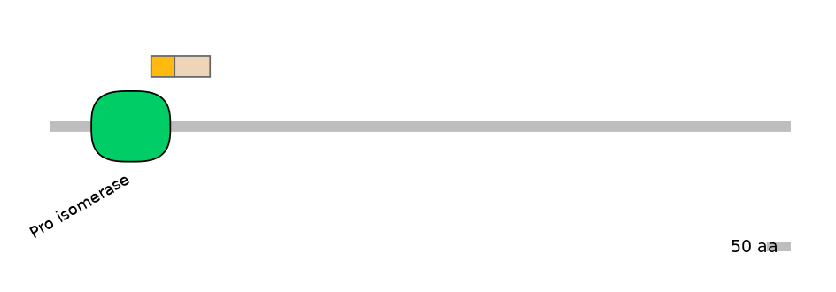 GgaINT0091029-EXC