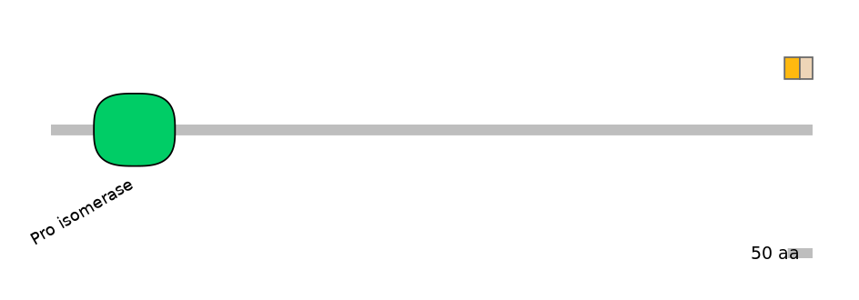GgaINT0091038-EXC