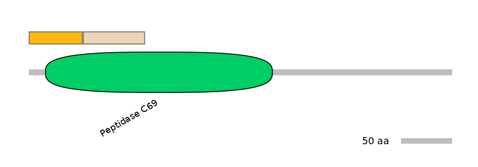 GgaINT0096077-EXC