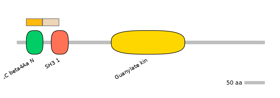 GgaINT0097887-EXC