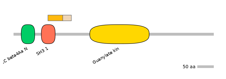 GgaINT0097889-EXC