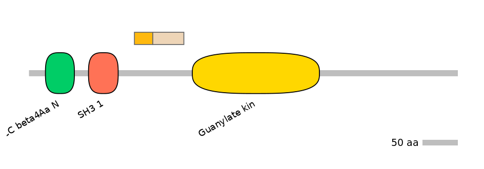 GgaINT0097890-EXC
