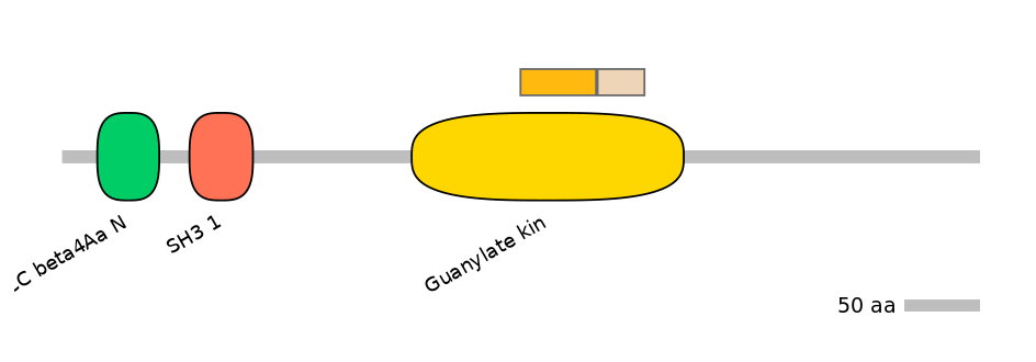 GgaINT0097895-EXC
