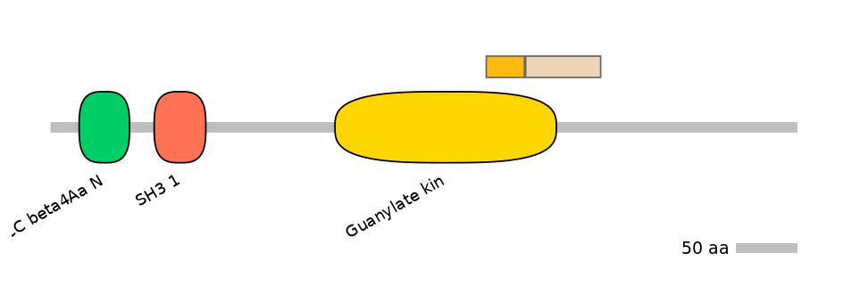GgaINT0097896-EXC