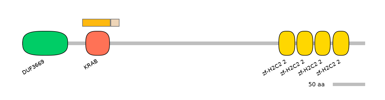 GgaINT0101061-EXC