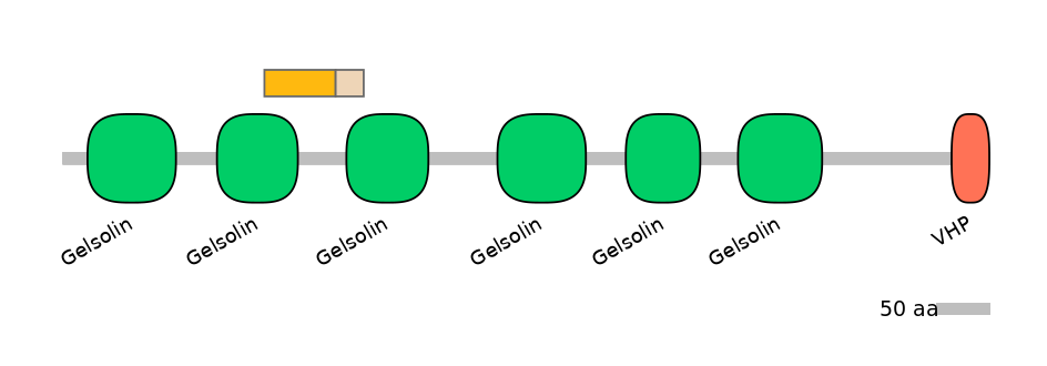 GgaINT0102130-EXC
