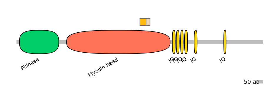 GgaINT0103359-EXC