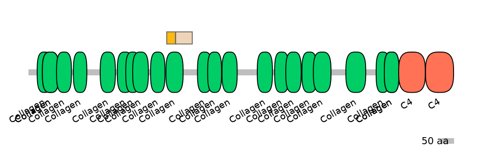 GgaINT0105248-EXC
