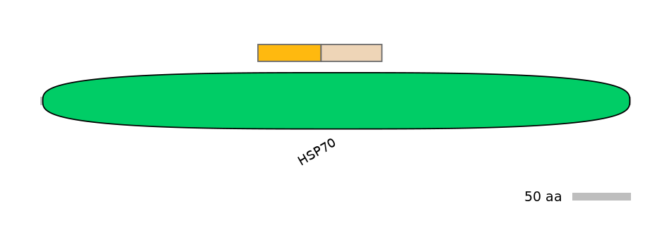 GgaINT0106212-EXC