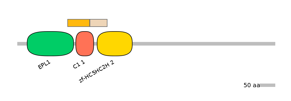 GgaINT0108086-EXC