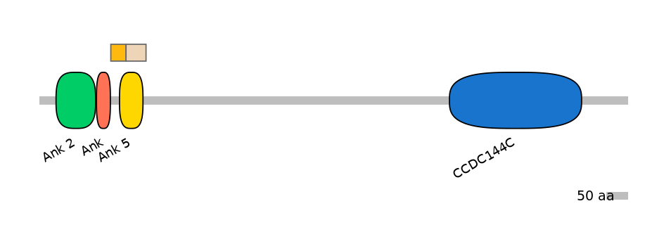 GgaINT0109007-EXC