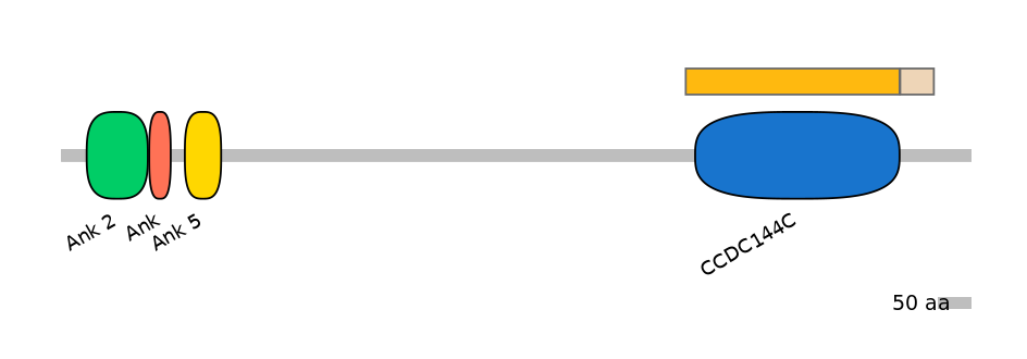 GgaINT0109015-EXC