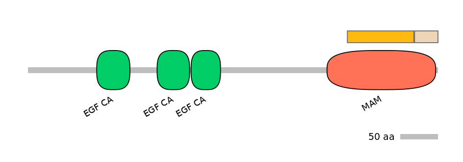 GgaINT0111882-EXC