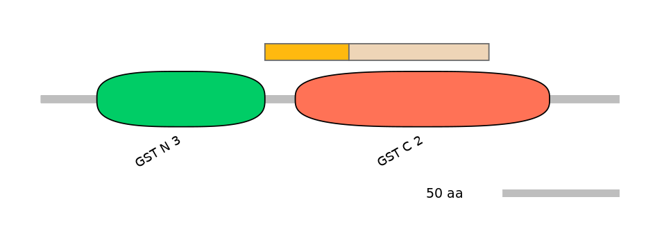 GgaINT0112008-EXC