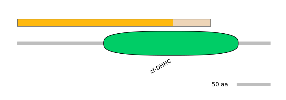 GgaINT0112103-EXC