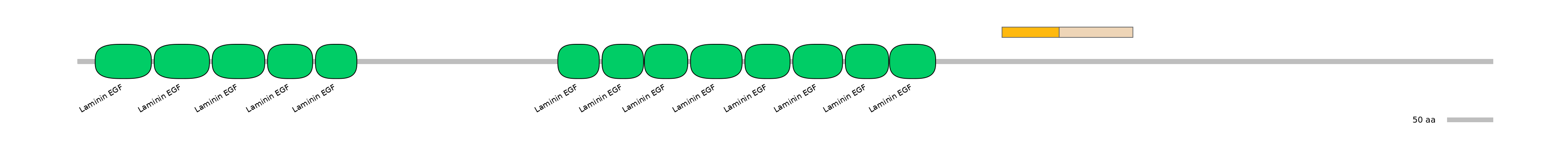 GgaINT0112336-EXC