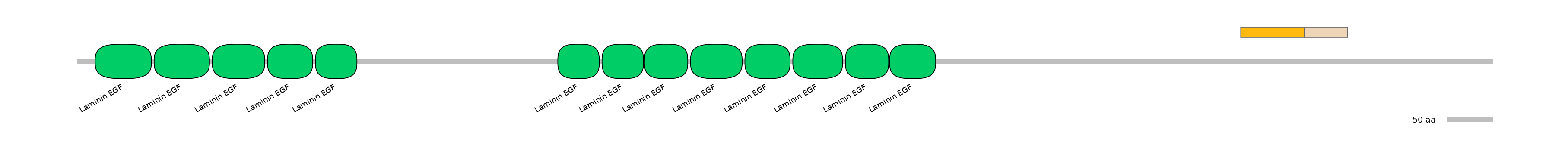 GgaINT0112340-EXC