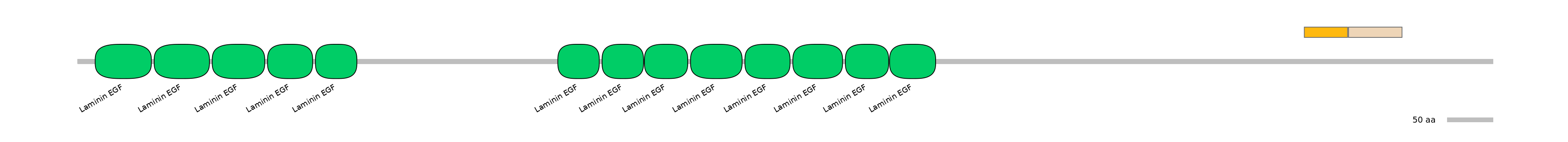 GgaINT0112341-EXC