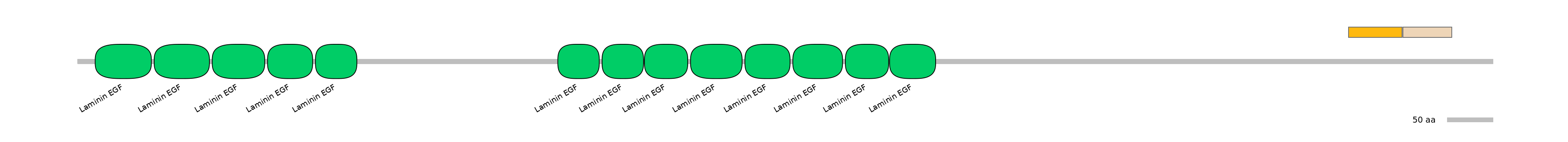 GgaINT0112342-EXC