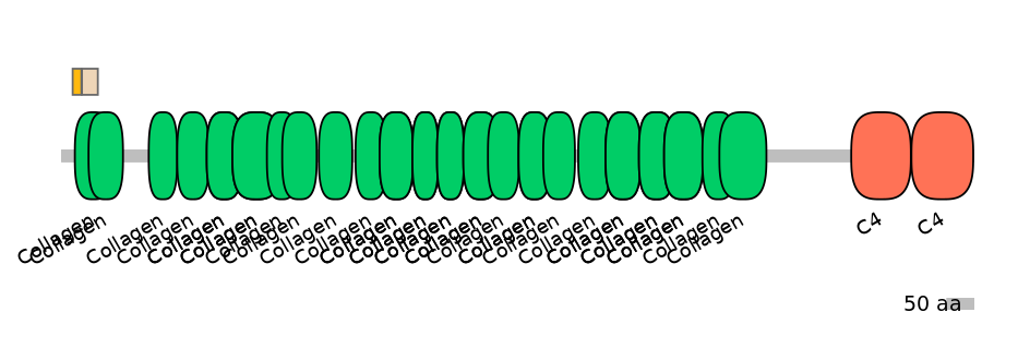 GgaINT0116529-EXC