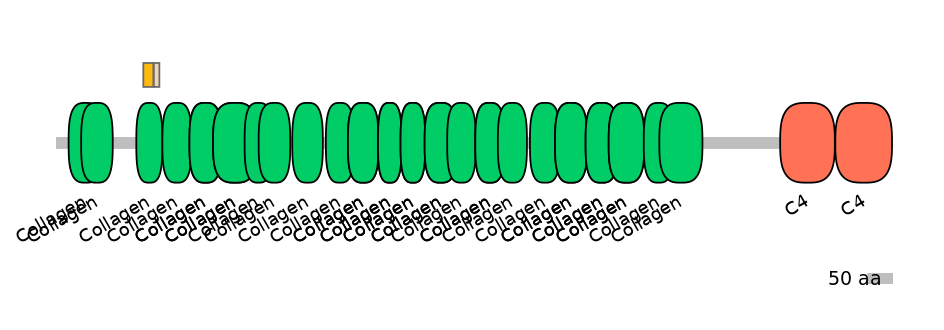 GgaINT0116537-EXC
