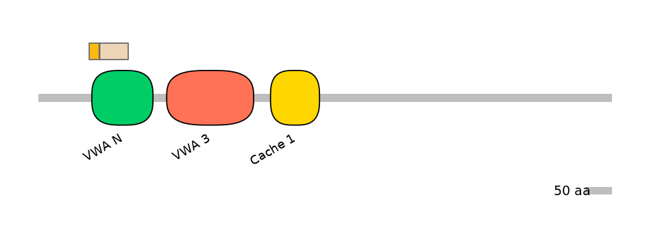 GgaINT0120273-EXC