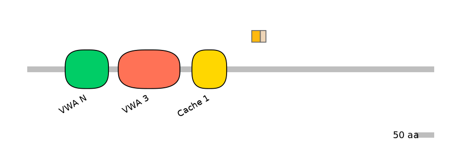 GgaINT0120289-EXC