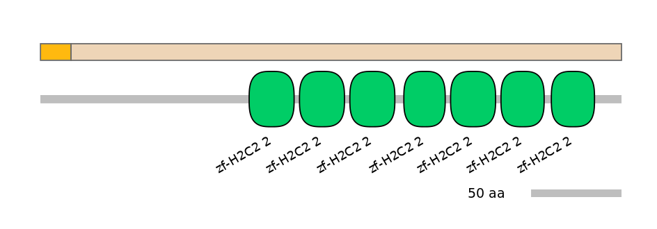 GgaINT0121509-EXC