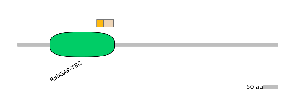 GgaINT0123162-EXC